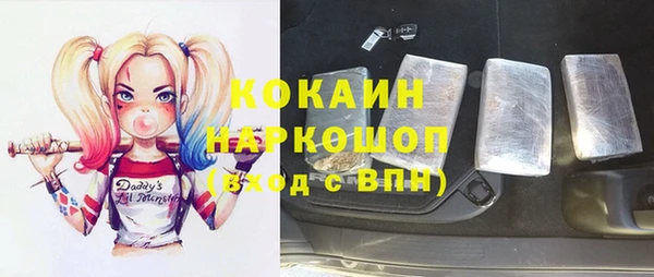 шишки Дмитров