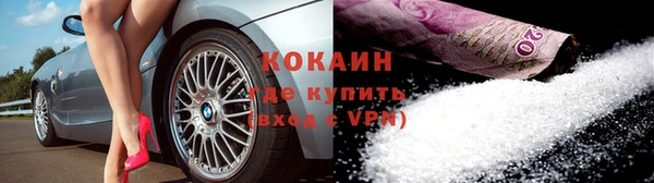 стаф Дмитриев