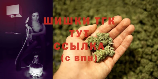 дмт Дмитровск