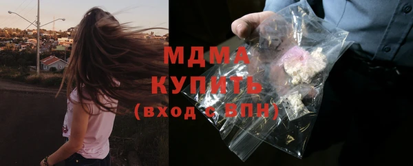 шишки Дмитров