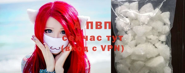 стаф Дмитриев