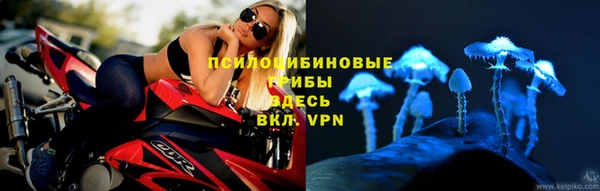 дмт Дмитровск