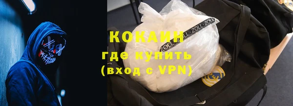 стаф Дмитриев