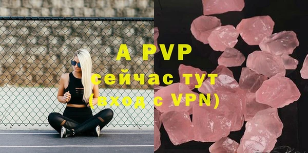 стаф Дмитриев