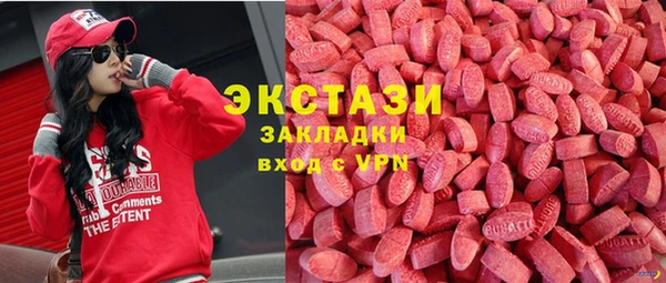 стаф Дмитриев