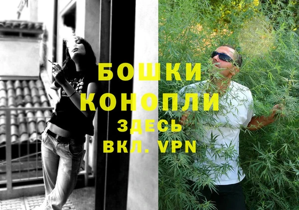 дмт Дмитровск