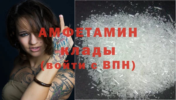 стаф Дмитриев
