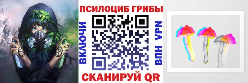 Псилоцибиновые грибы мухоморы darknet формула Находка